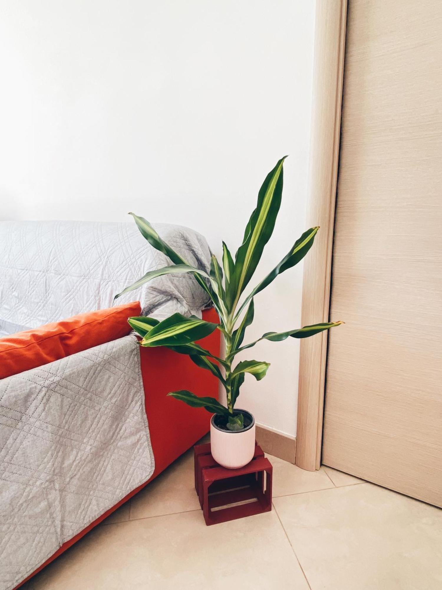Apartment In Siena With Private Parking Zewnętrze zdjęcie